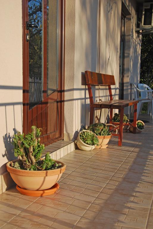 Apartments Iva Tivat Quarto foto