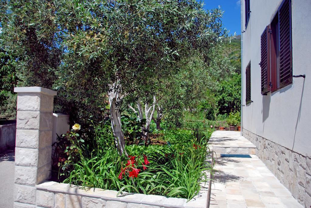 Apartments Iva Tivat Quarto foto