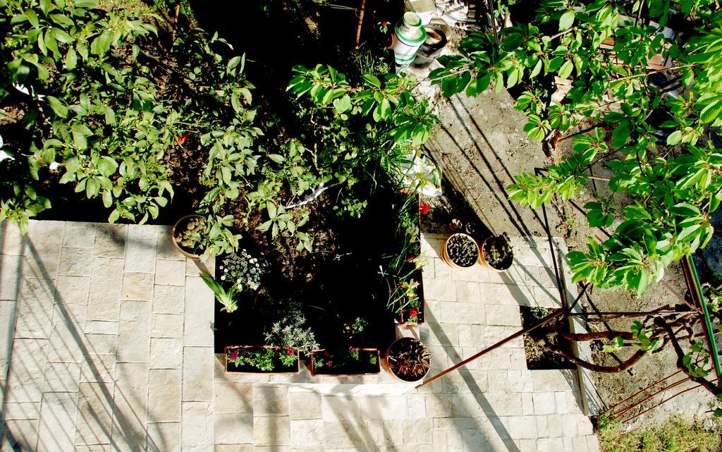Apartments Iva Tivat Exterior foto